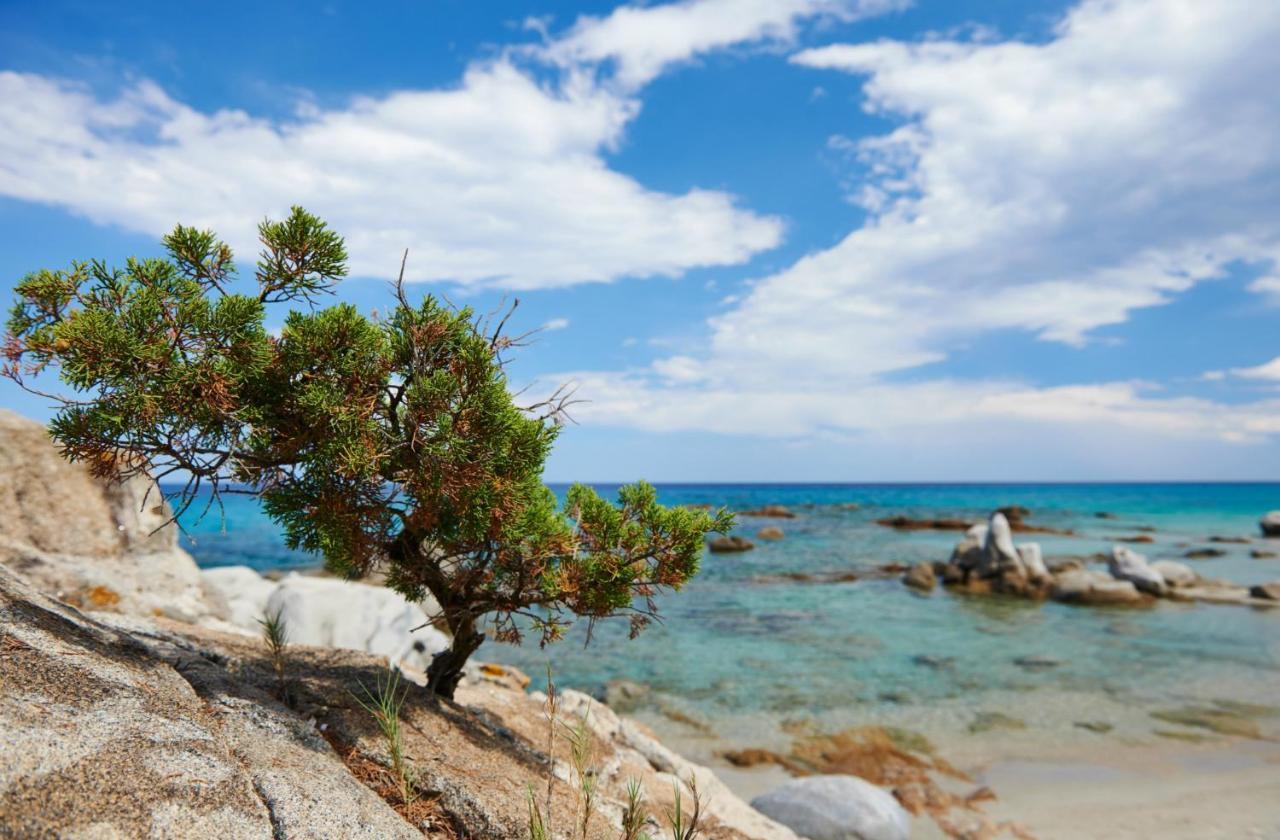 Villa Sangemi Àrbatax Εξωτερικό φωτογραφία